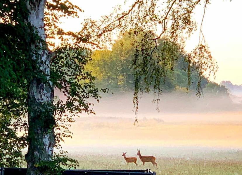 Meiks Ostseehütten Dranske Exterior foto